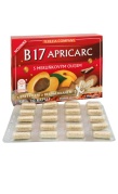 B17 APRICARC